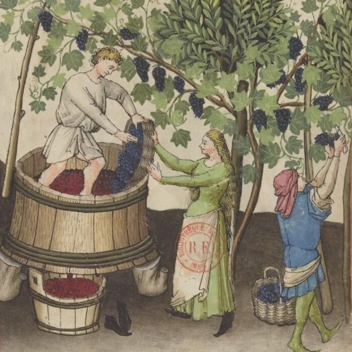 Ibn Butlân, Tacuinum sanitatis